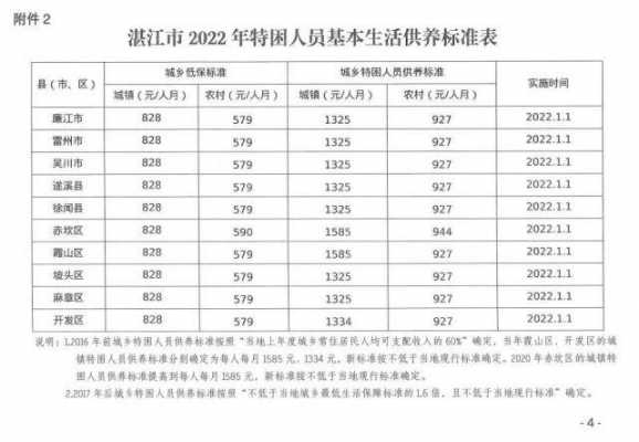 湛江人均最低收入（湛江市人均收入多少才能低保）-图3