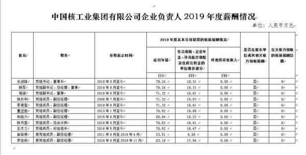 中核工业收入（中核集团2020年收入）-图1