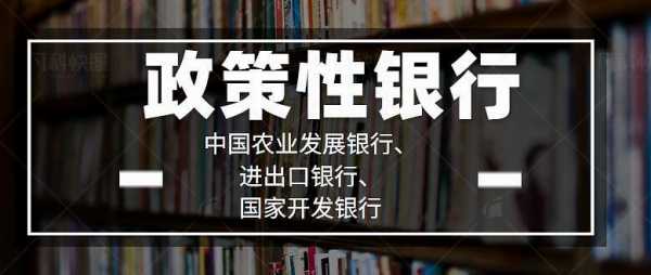 政策性银行收入怎么样（政策性银行从事什么业务）-图3