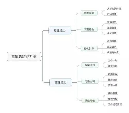 主动营销经理收入（主动营销总监）-图1