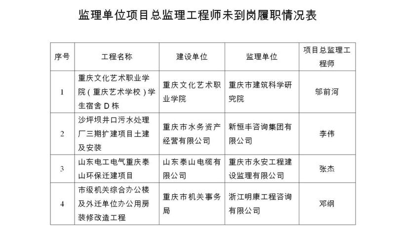 总监理工程师灰色收入（总监理工程师灰色收入途径）-图2