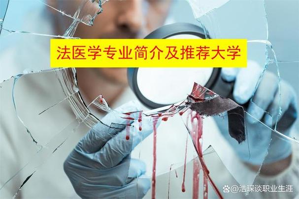 国外法医收入（国外法医专业回国有用吗）-图3