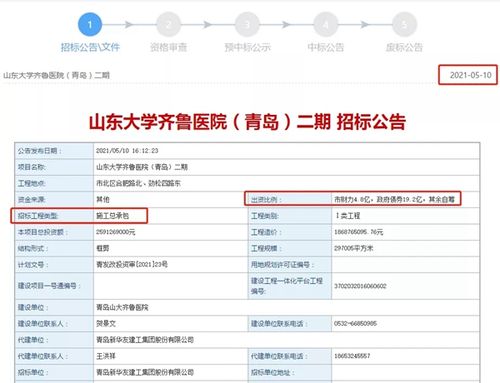 山大齐鲁医院营业收入（齐鲁医院2020营业额）-图1