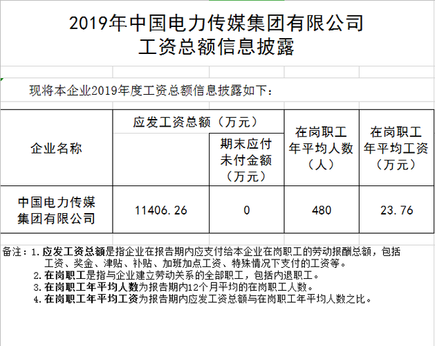 中电国际员工收入（中电国际薪酬制度）-图2