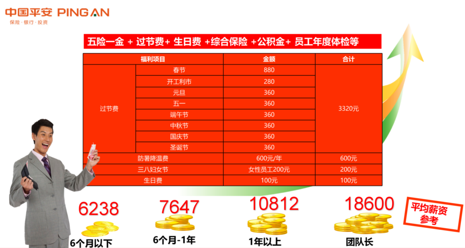 平安保险收入怎么样（平安保险的收入怎么样）-图2