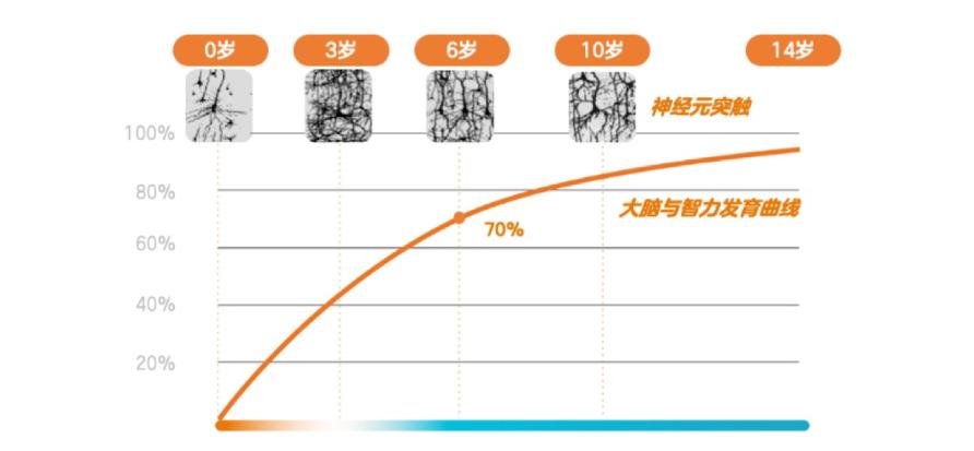 早教销售收入（早教销售收入怎么算）-图3