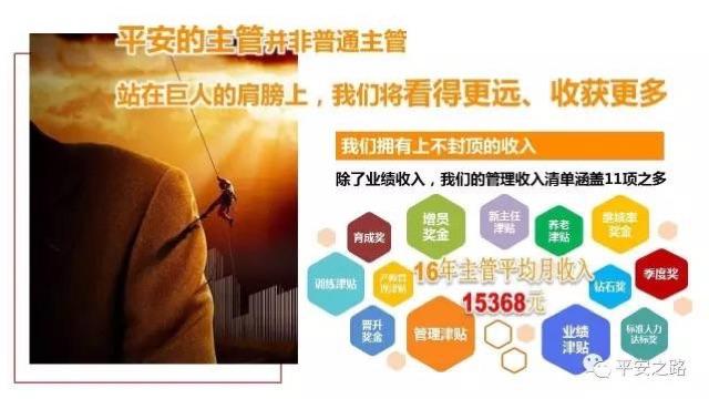 平安金融收入（平安金融做什么的）-图1