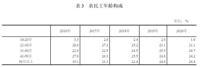 农民工收入问题（农民工收入问题调查报告社会实践研究思路）-图3