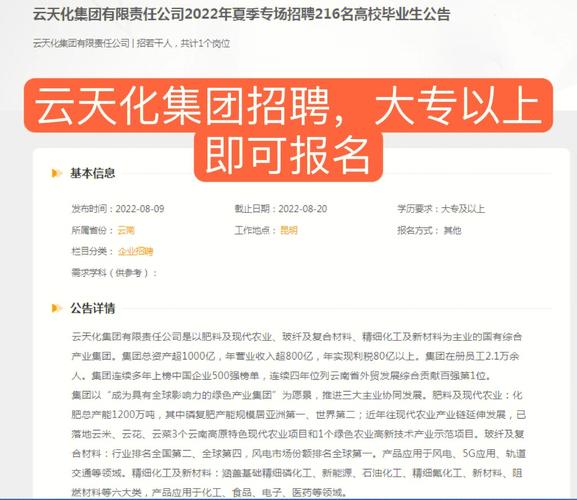 云天化员工收入（云天化2020年招聘）-图1