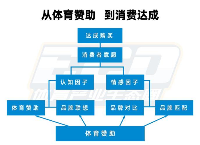 体育营销收入（体育营销收入包括哪些）-图3