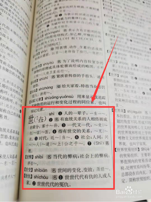 我国收入字最多的字典（我国收入的字最多的字典是什么）-图3