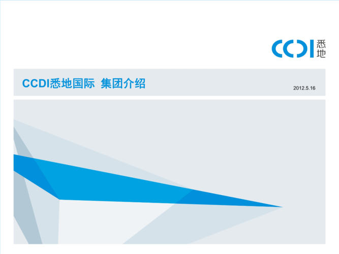 ccdi收入（ccdi集团）-图2