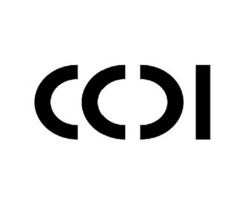 ccdi收入（ccdi集团）-图3