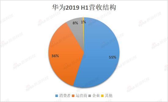 华为企业bg收入（华为企业bg收入高吗）-图2