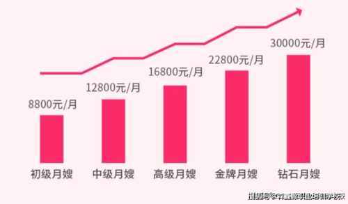 月嫂销售收入（月嫂的收入属于按什么分配）-图3