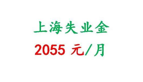 上海失业收入（2021上海失业）-图3