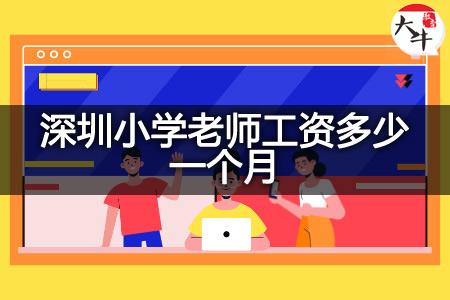 深圳有编制老师收入（深圳有编制老师收入多少）-图3