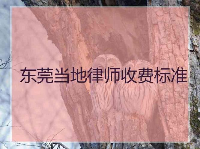 东莞律师的收入（东莞律师的收入多少）-图3