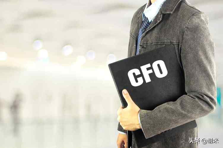 cfo.收入（coo收入）-图2