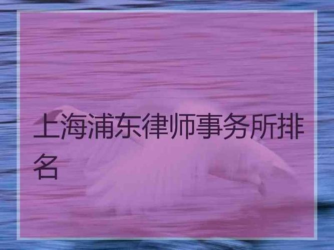 上海实习律师月收入（上海律师的月薪）-图1