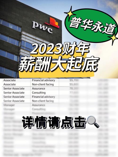 pwc合伙人收入（pag合伙人）-图3