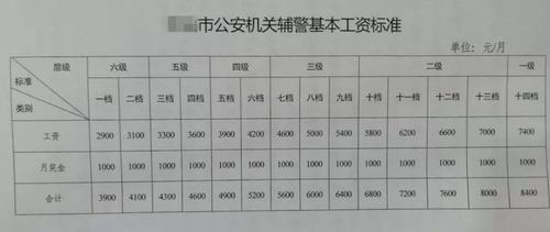 辅警收入（沈阳辅警收入）-图1