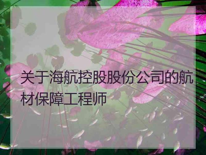 航材保障收入（航材保障工程师累不累）-图1