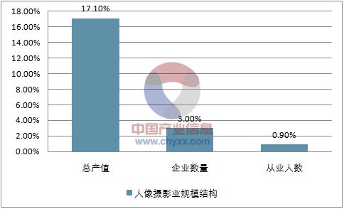 摄影收入（摄影收入来源）-图1