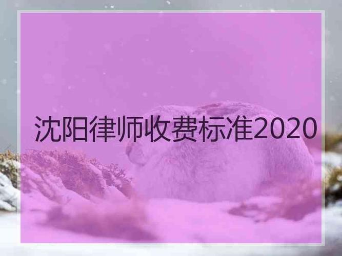 在沈阳做律师收入（沈阳律师收入一月一般多少）-图2