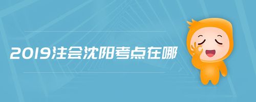 沈阳cpa收入（沈阳cpa考场分布）-图2