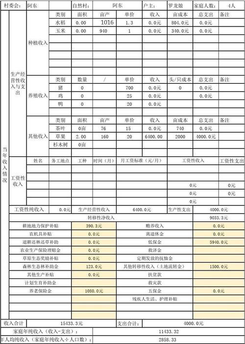 收入情况怎么填写（收入情况怎么填写才正确）-图3