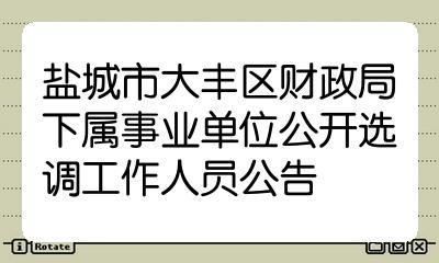 大丰区财政收入（盐城大丰财政收入2019）-图2