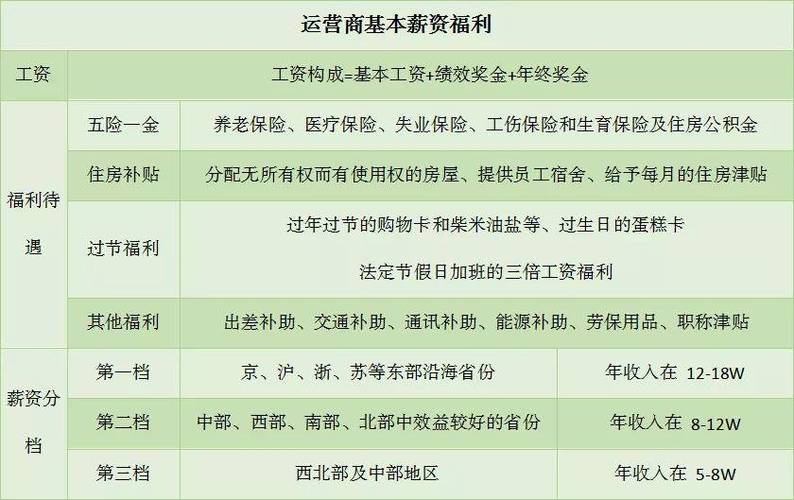 电信c类员工收入（电信c类员工有年终奖吗）-图1