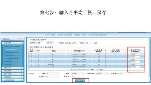 工资性收入来源（工资性收入来源怎么填）-图2