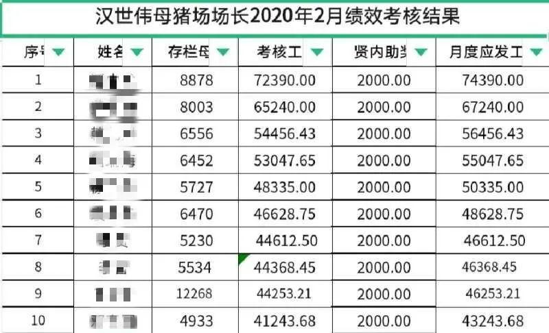 猪场工资收入（猪场工资收入怎么样）-图1