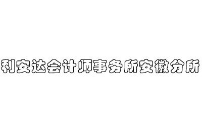 利安达安徽收入（利安达会计师事务所安徽）-图3