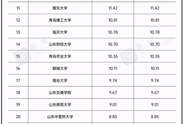 山东大学每年收入多少（山东大学一年经费有多少亿）-图1