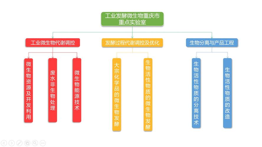 生物实验室收入（生物实验室收入分析）-图3