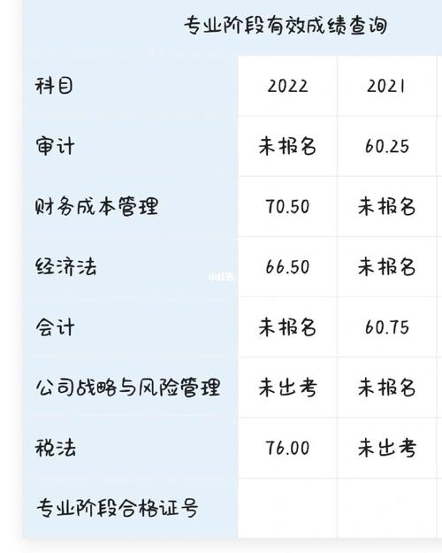 cpa考出收入（考完cpa月薪多少）-图1