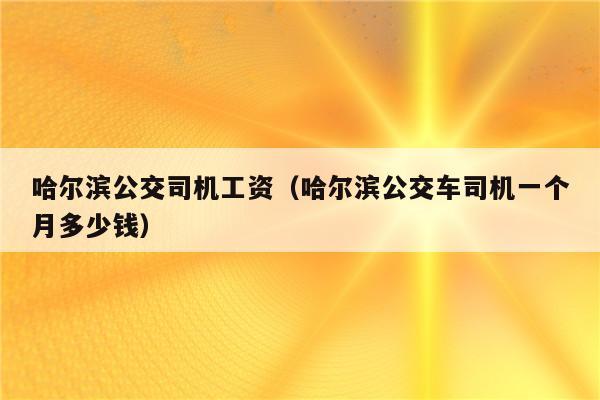 哈尔滨公交司机收入（哈尔滨公交司机一个月能挣多少钱）-图1