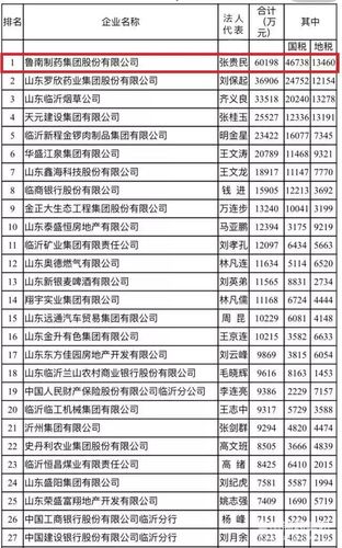 鲁南制药营业收入（鲁南制药总资产多少）-图3