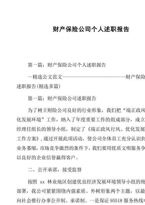 财产保险经理收入（财产保险经理述职报告）-图3