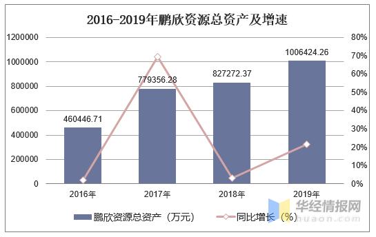 鹏欣集团收入规模（鹏欣集团总资产）-图1