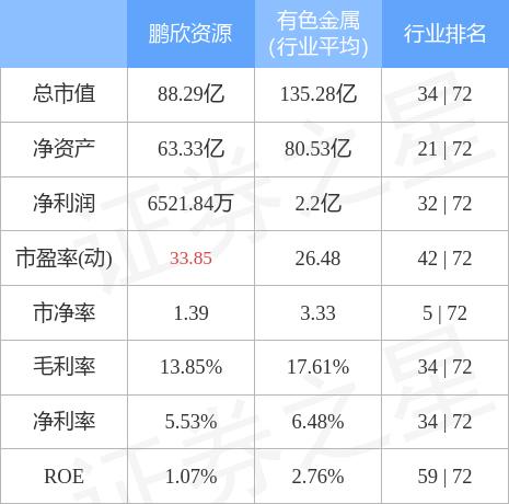 鹏欣集团收入规模（鹏欣集团总资产）-图3