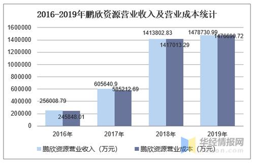 鹏欣集团收入规模（鹏欣集团总资产）-图2