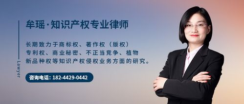 知产律师收入如何（知产律师赚钱吗）-图3