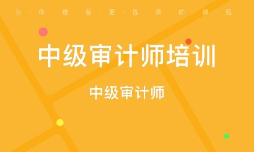 审计师收入如何（审计师收入如何算）-图2