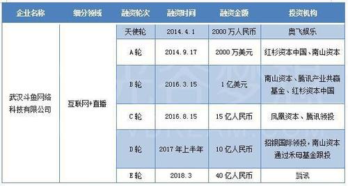 武汉斗鱼收入（武汉斗鱼网络公司）-图1