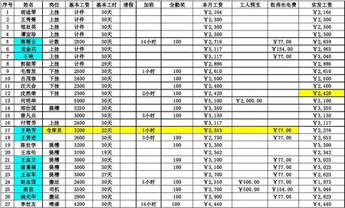 工资总收入（工资总收入是什么意思）-图3