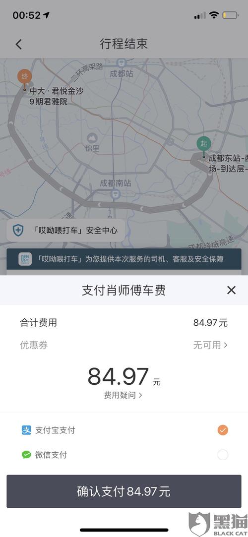 迪迪出行收入（下载迪迪出行）-图3